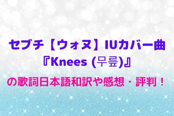 セブチ ウォヌ Iuカバー曲 Knees 무릎 の歌詞日本語和訳や感想 評判 Maryのすてき便